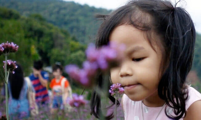 IFF HV-CaseContent-IFF-HV-5